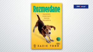 Co kryje się w psiej głowie?