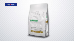 Rdzawe zacieki u psa