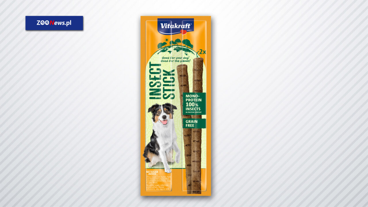 Insect Stick przysmaki dla psów z owadów przyjazne dla klimatu - ZOONEWS.PL