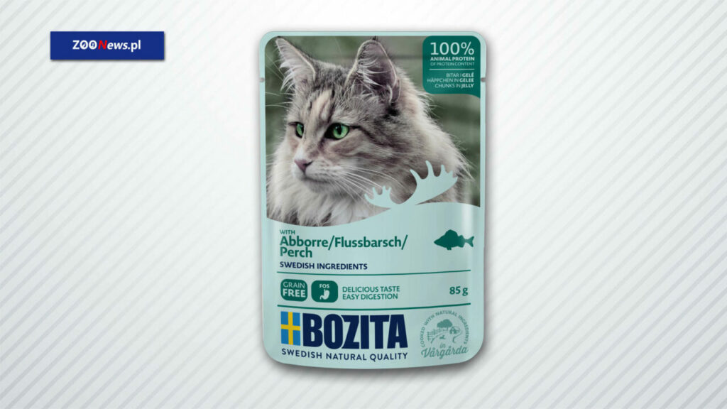 Mokra karma bezzbożowa dla kotów Bozita