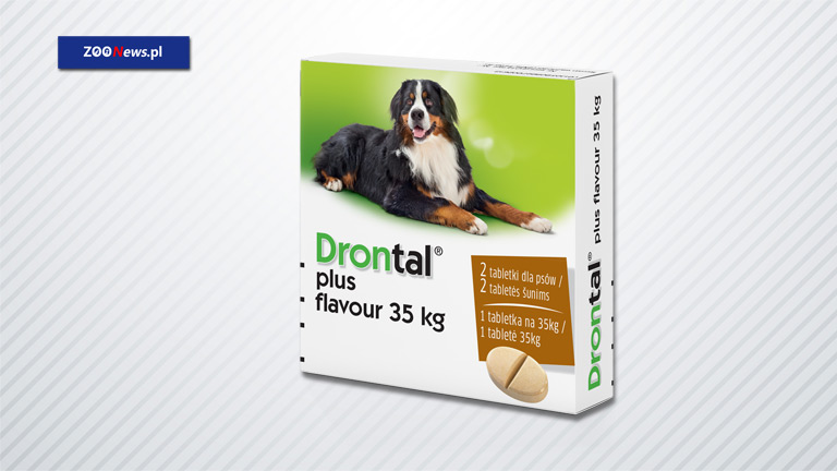 Tabletka na robaki dla dużych psów Drontal