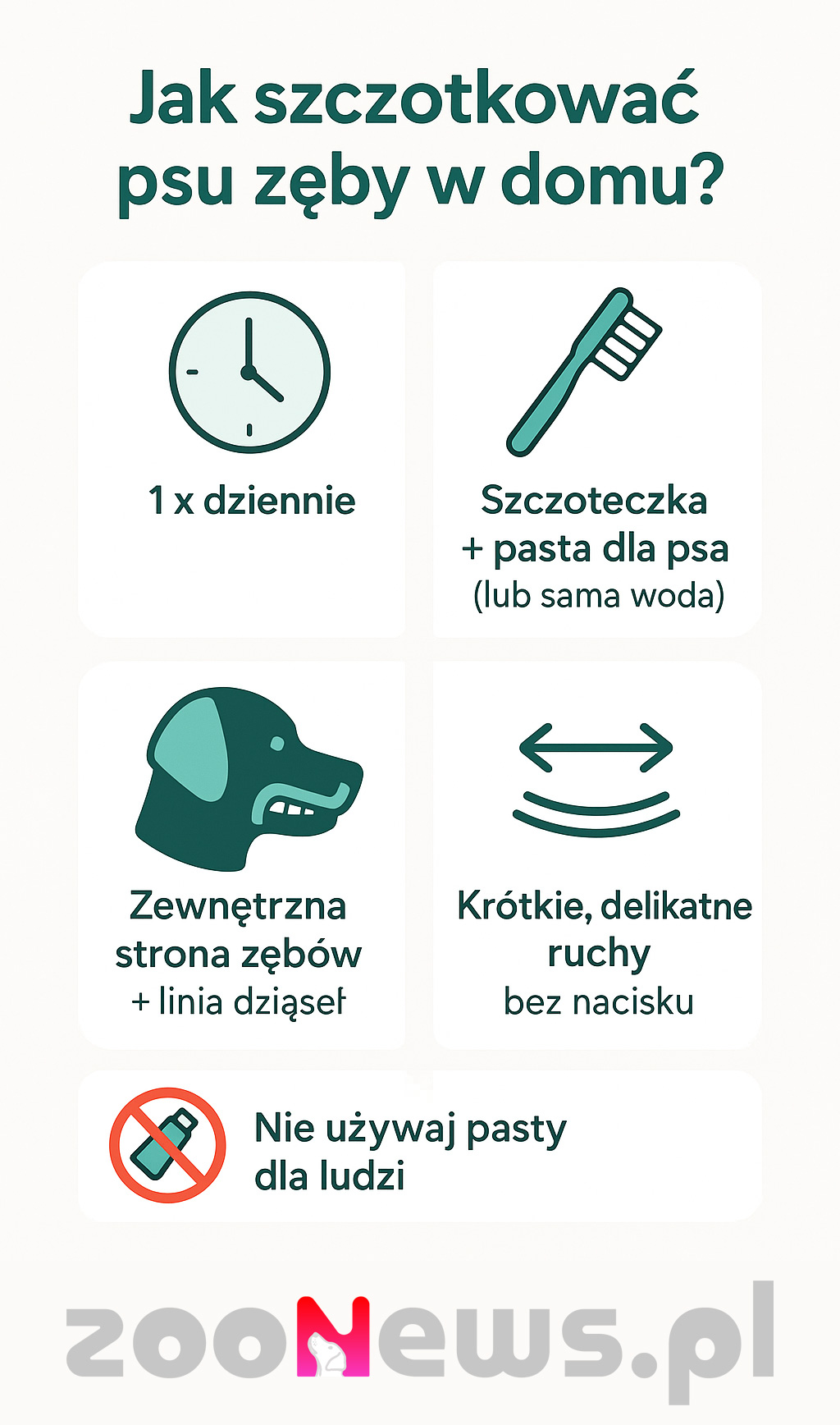 Jak szczotkować psu zęby infografika