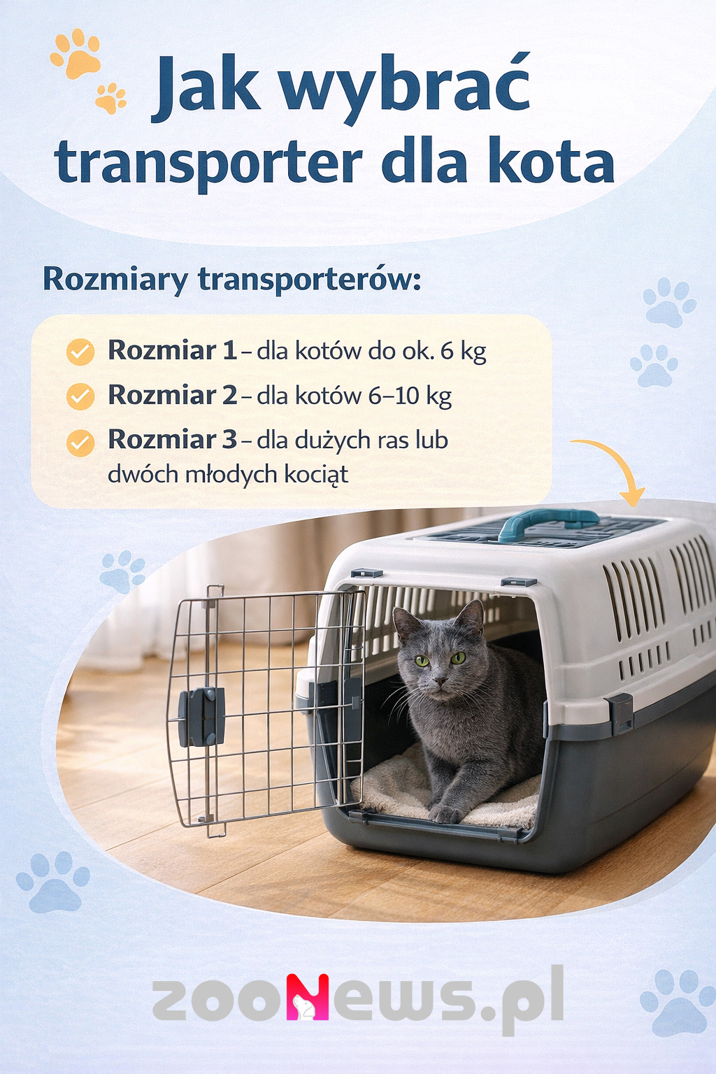 Jak wybrać transporter dla kota infografika