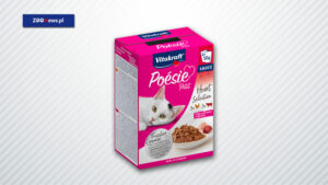 kocia karma w małych porcjach