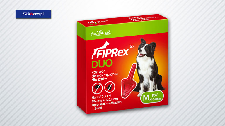 Krople na pchły i kleszcze dla psów – Fiprex® Duo