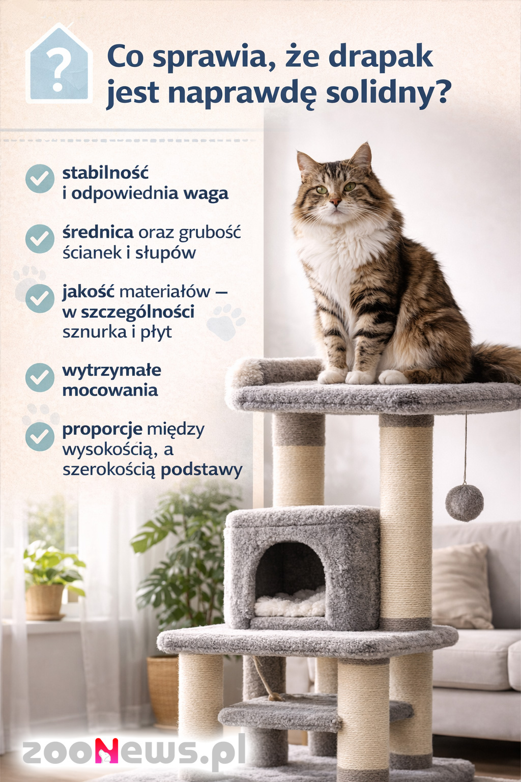 Solidny drapak dla kota infografika