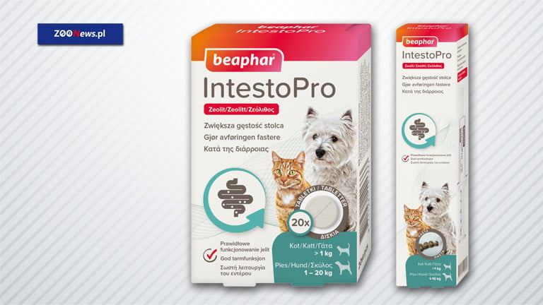 Preparat na biegunkę dla psa i kota – Beaphar IntestoPro