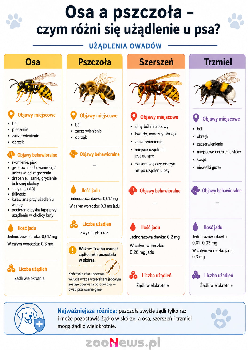 Użądlenie psa infografika