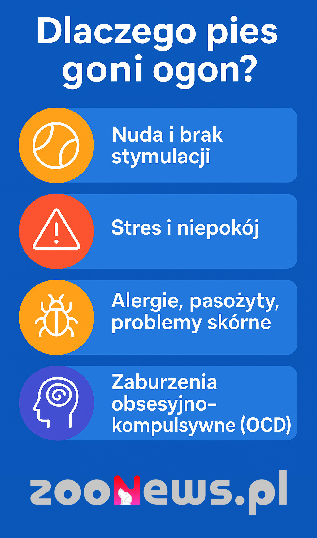 Dlaczego pies goni i gryzie swój ogon infografika