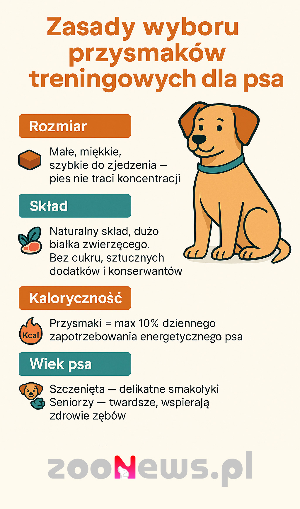 Jak wybrać przysmaki treningowe dla psa infografika