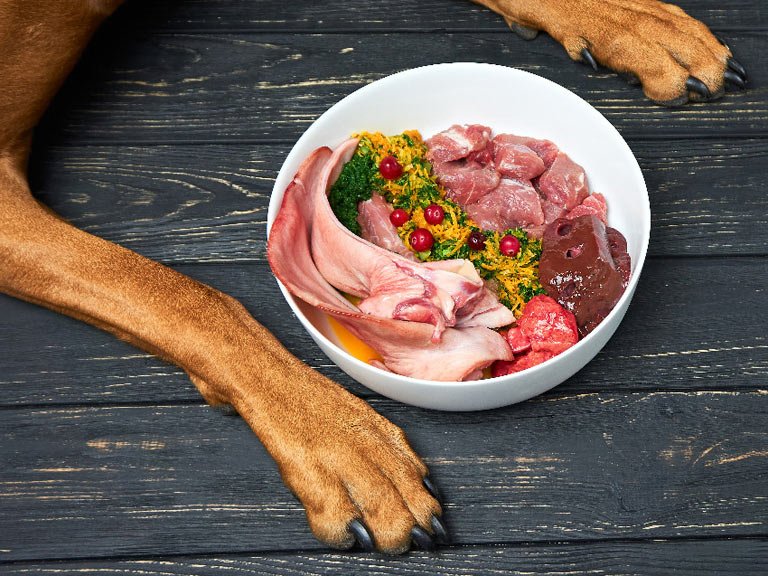 Mięso dla psa – dlaczego warto je podawać?