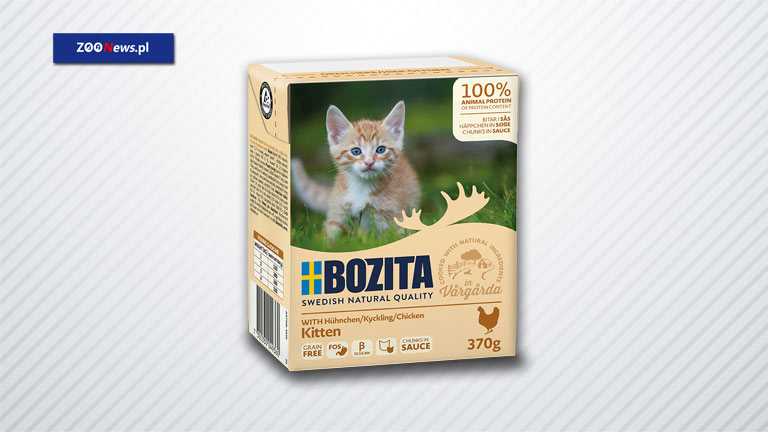 Bezzbożowa pełnoporcjowa karma dla kociąt – Bozita Tetra Kitten