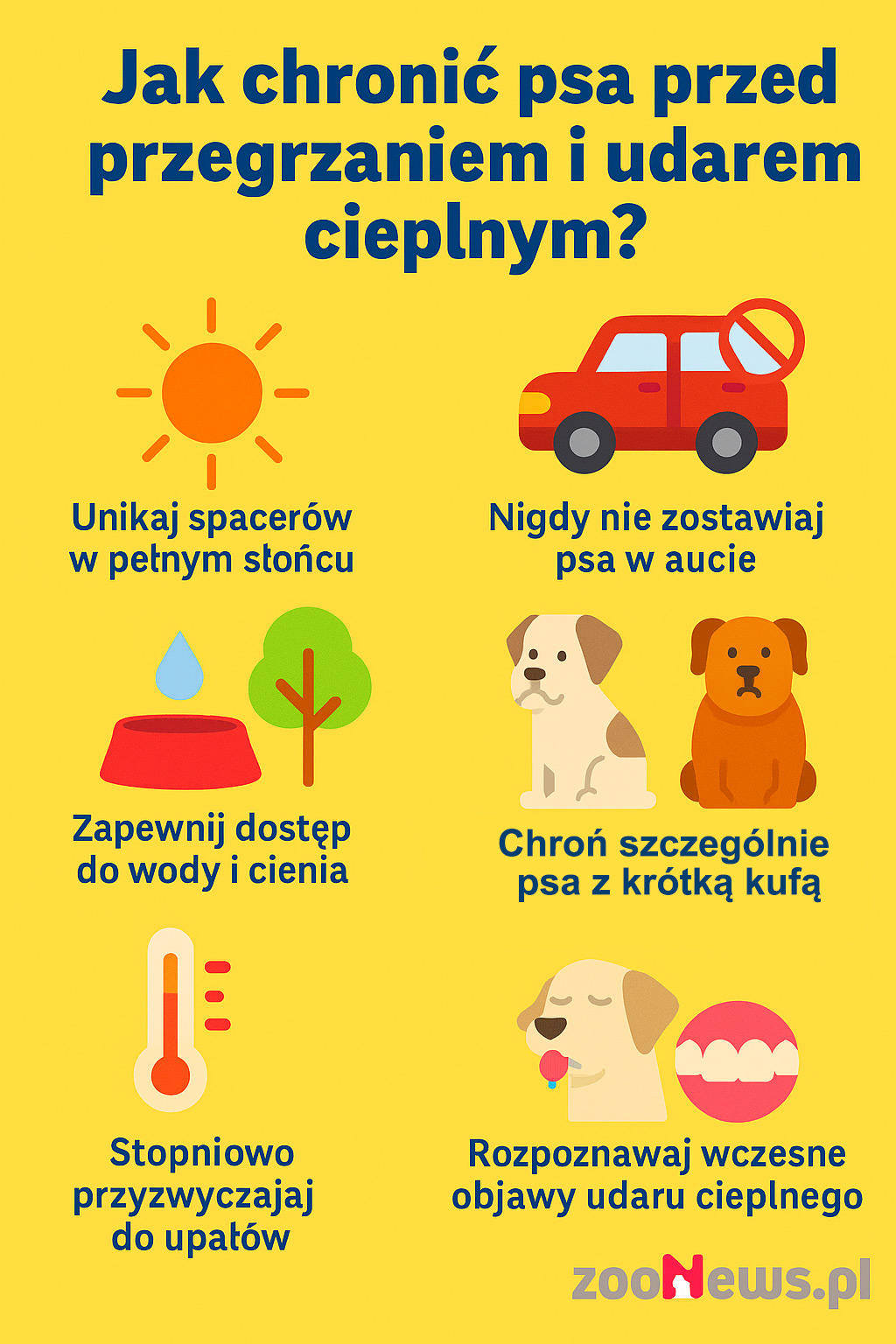 Jak chronić psa przed udarem cieplnym infografika