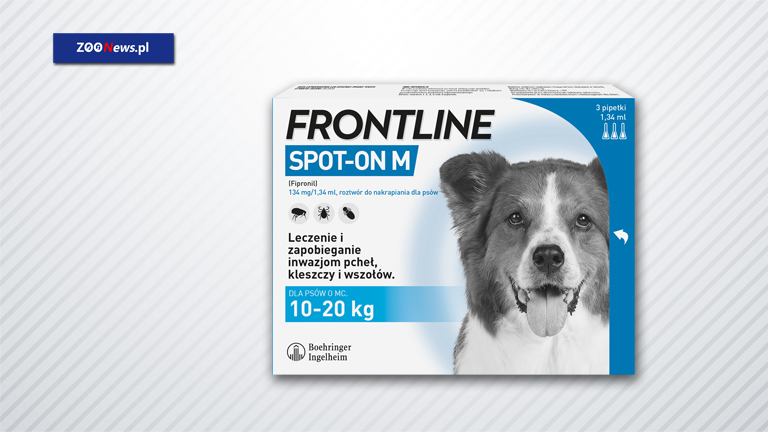 Krople FRONTLINE® SPOT-ON dla psa - zaufana ochrona przeciwko pchłom i kleszczom - Zoonews.pl