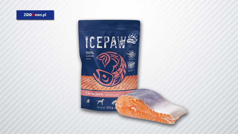 Mokra karma dla psa ICEPAW z czystych filetów z dzikiego łososia