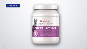 Suplement na stawy dla psów