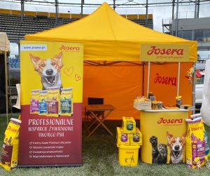 XIV Międzynarodowa Wystawa Psów Rasowych w Białymstoku