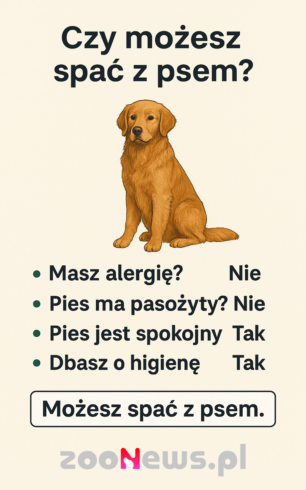 Spanie z psem w łóżku infografika