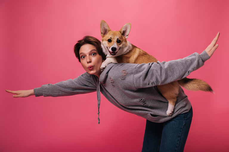 Sztuczki dla psa – jakich sztuczek można nauczyć psa? | Zoonews.pl