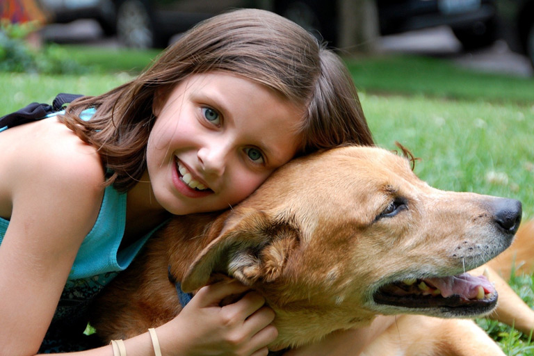 Pies dla dziecka – poznaj najlepsze psy rodzinne