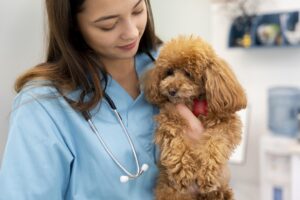Robaki u psa – jak rozpoznać ich objawy i je leczyć?