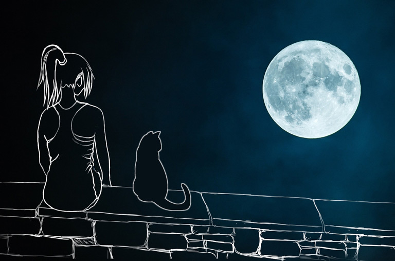 Sennik kot – co oznacza kot we śnie?