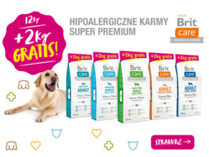 Brit powiększa swoje worki!