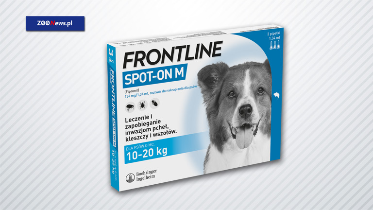 Krople na kleszcze dla psa FRONTLINE® SPOT-ON