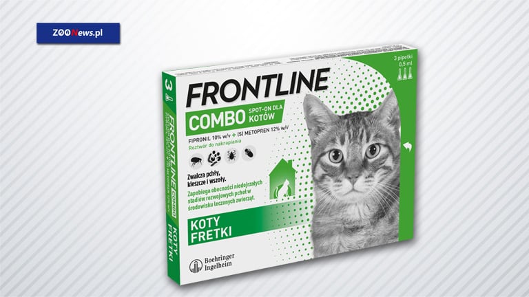 Krople dla kota na pchły i kleszcze FRONTLINE® COMBO | Zoonews.pl