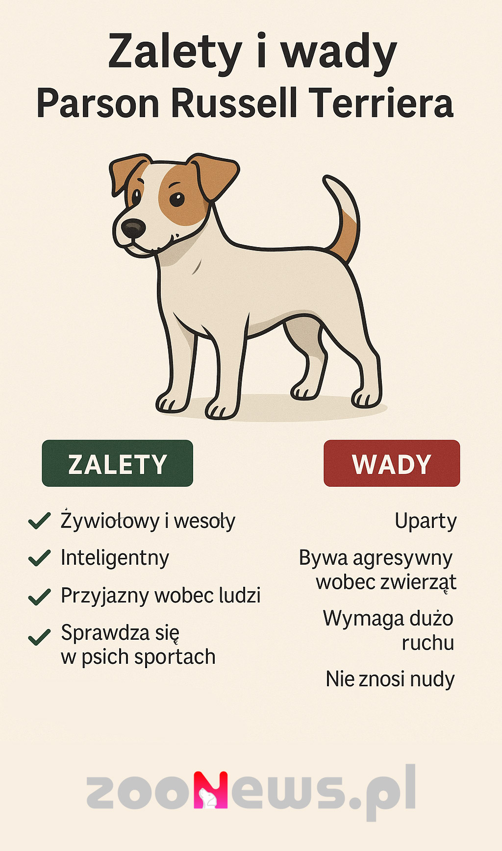 Parson Russell terrier infografika