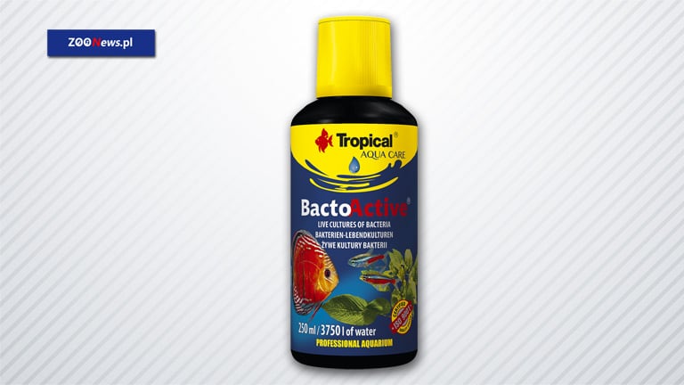 Żywe kultury bakterii do akwarium Tropical BACTO-ACTIVE | Zoonews.pl