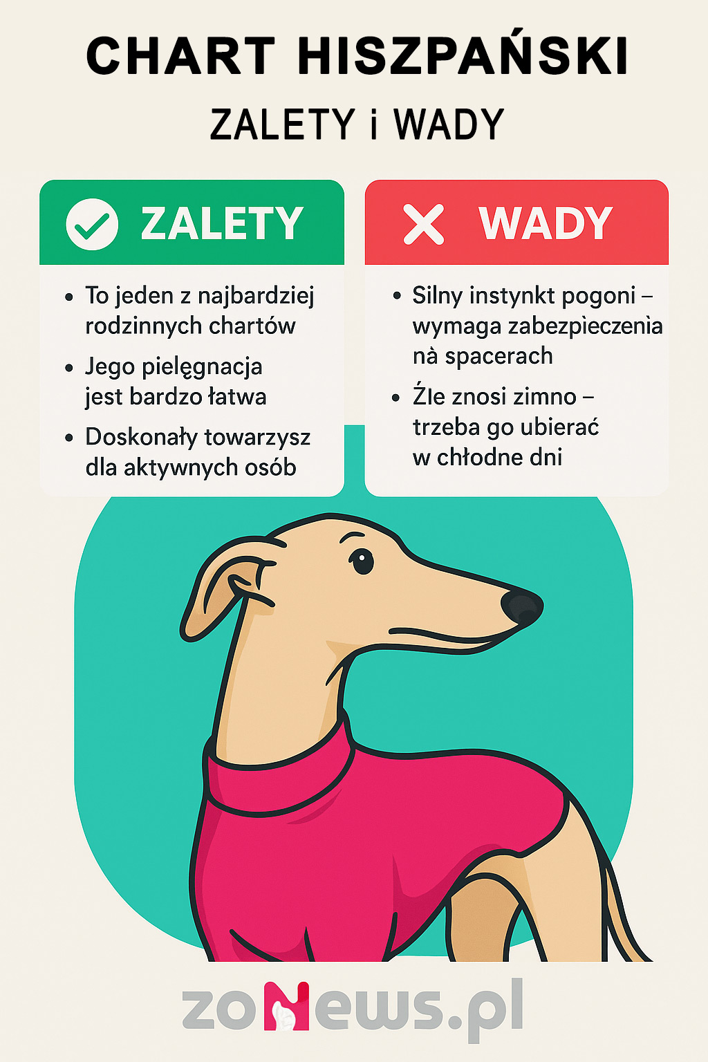 Chart hiszpański infografika