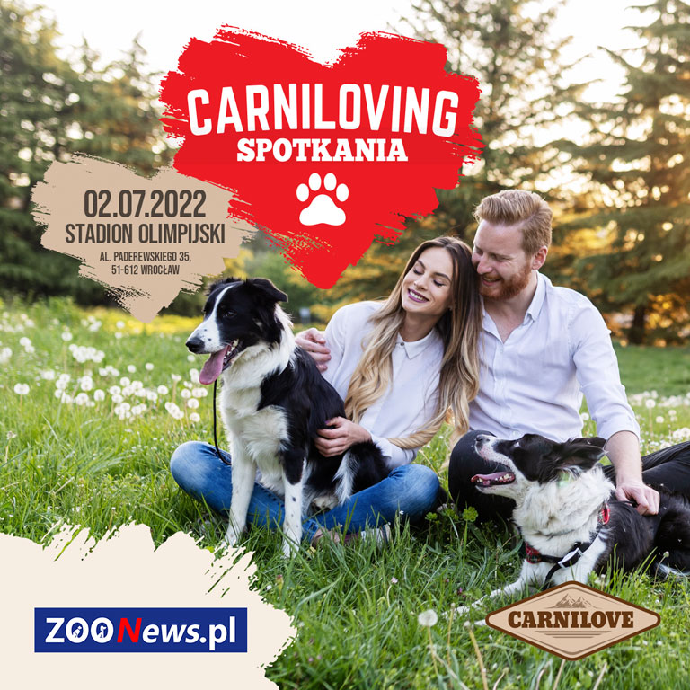 Carniloving we Wrocławiu już 2 lipca! Musisz tam być | Zoonews.pl
