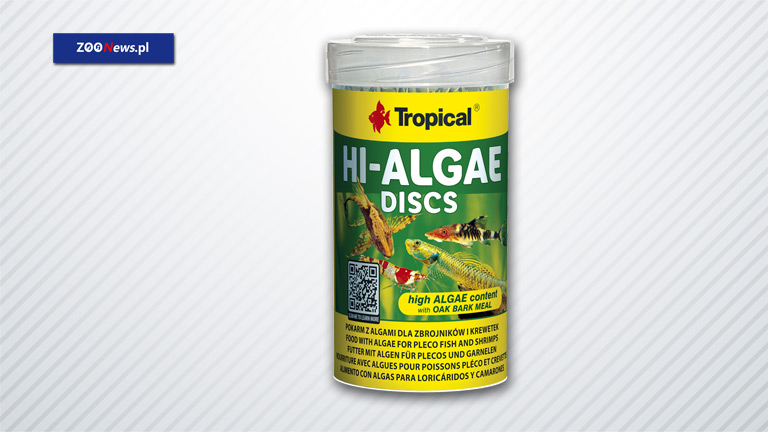 HI-ALGAE DISCS – pokarm z algami dla zbrojników i krewetek