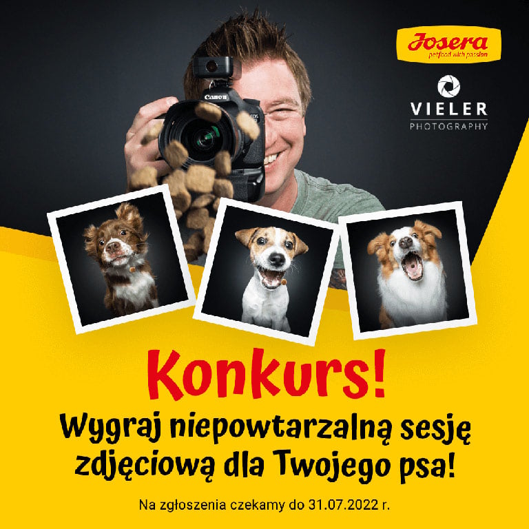 Wygraj sesję zdjęciową dla swojego pupila | Zoonews.pl