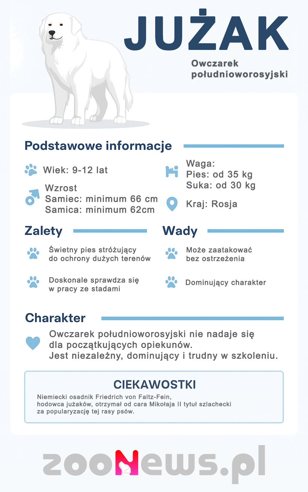 Jużak infografika