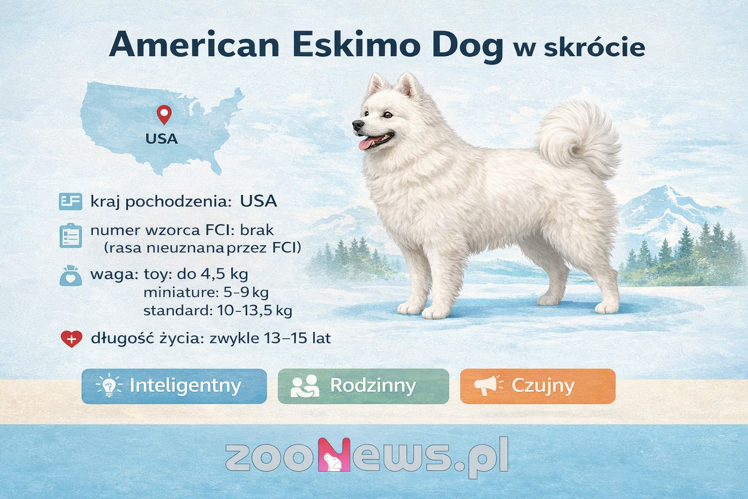 American Eskimo Dog infografika