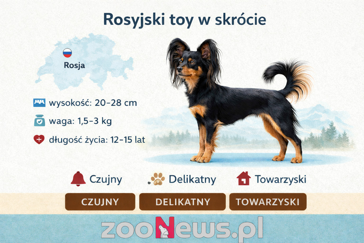 Rosyjski toy infografika