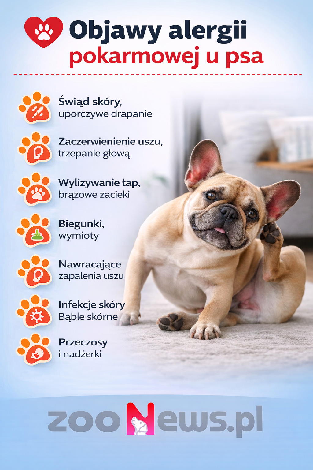 Alergia pokarmowa u psa infografika