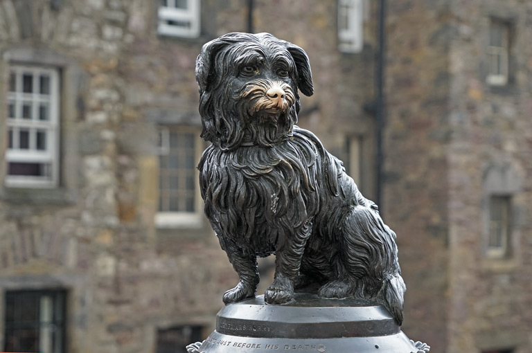 • Kamienna fontanna przedstawiająca skye terriera znajduje się w Edynburgu