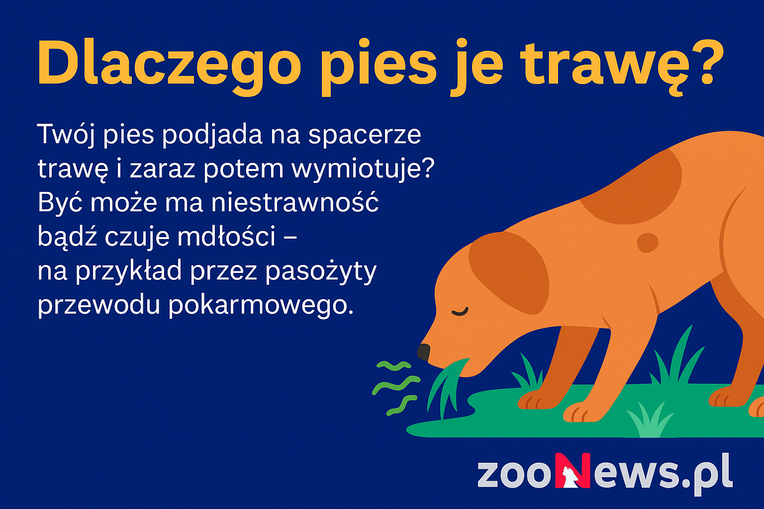 Dlaczego pies je trawę infografika