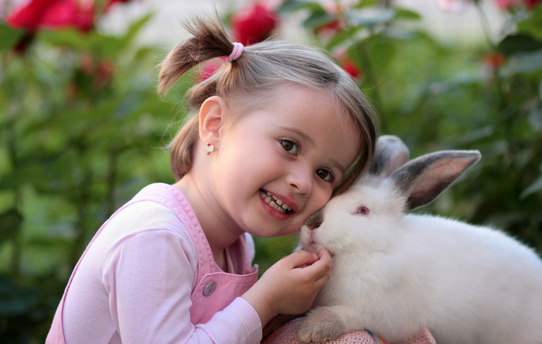Jak oswoić królika – SKUTECZNE WSKAZÓWKI | Zoonews.pl