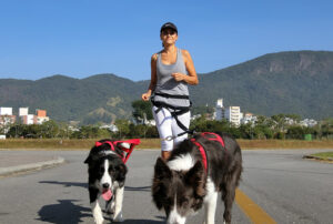Canicross – WSKAZÓWKI – jak zacząć bieganie z psem