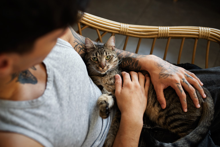 Felinoterapia – na czym polega leczenie kotem?