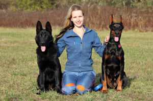 Psy stróżujące – top 11 ras psów do ochrony dobytku