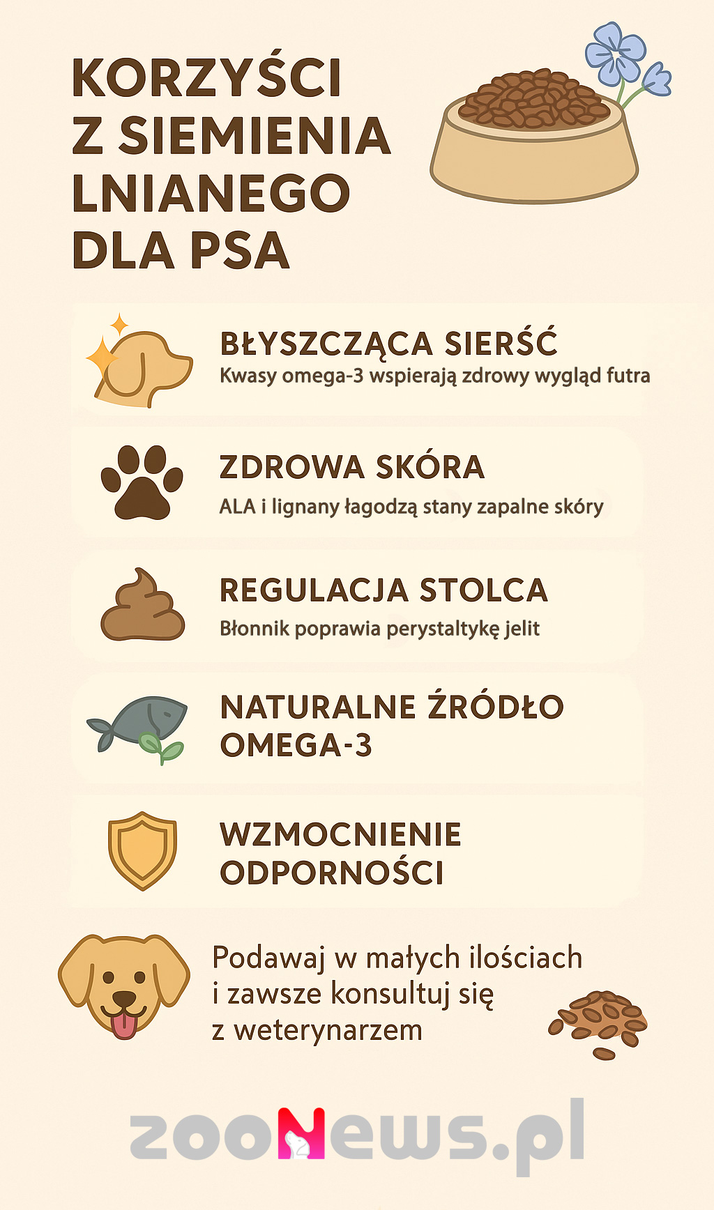 Siemię lniane dla psa infografika