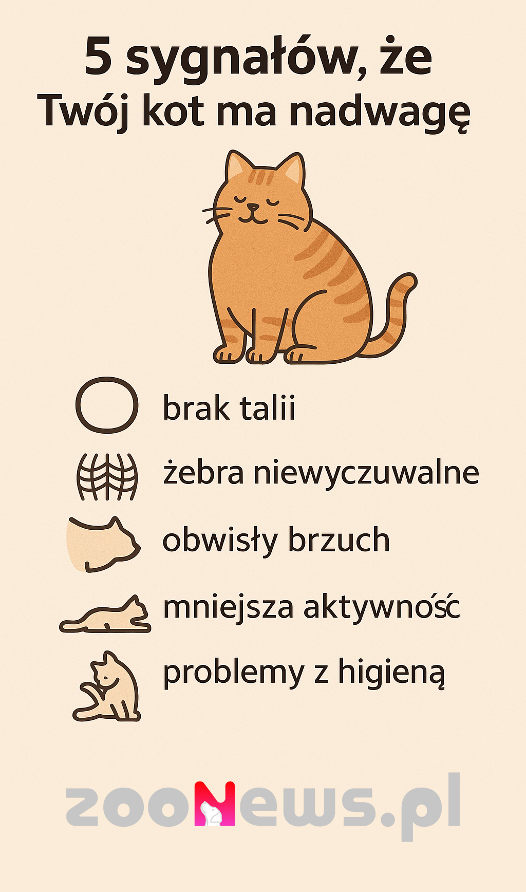 Objawy otyłości u kota infografika