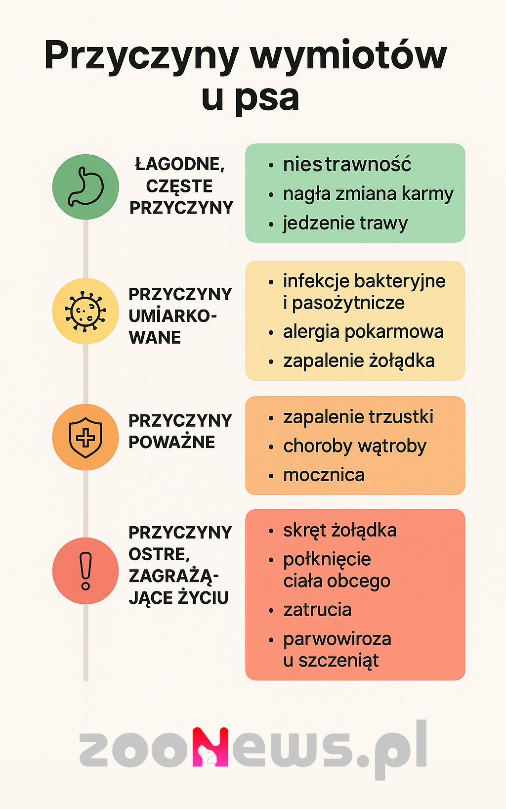 Przyczyny wymiotów u psa infografika
