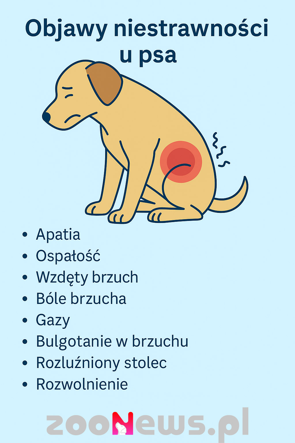 Objawy niestrawności u psa infografika
