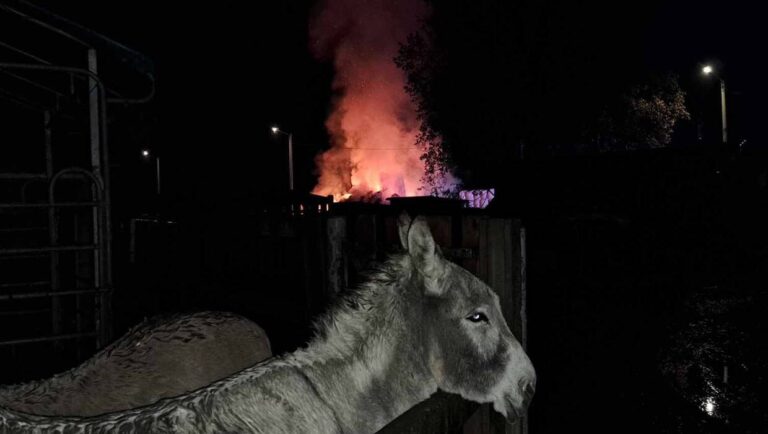 Pożar przytuliska w Ćwiklicach